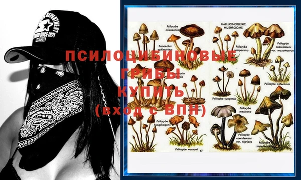 метадон Козловка