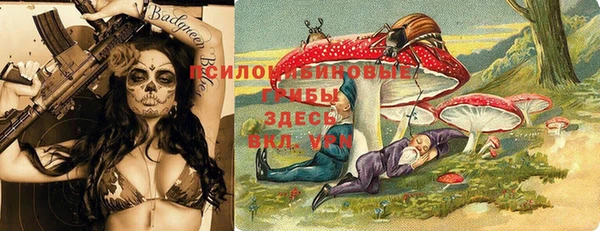 метадон Козловка
