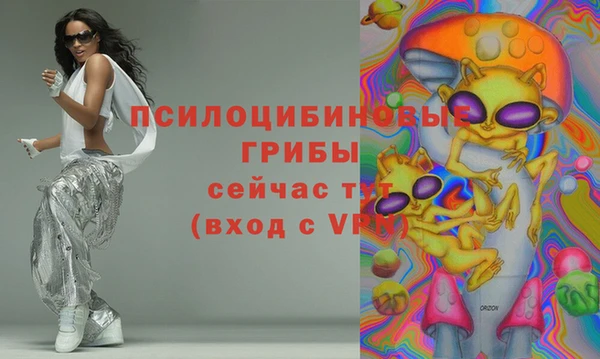 ECSTASY Кодинск