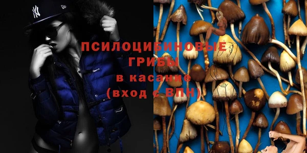 ECSTASY Кодинск