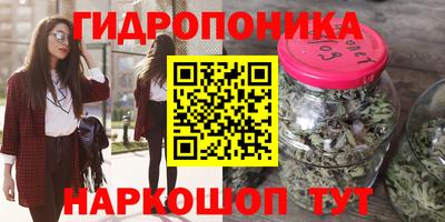 дмт Будённовск