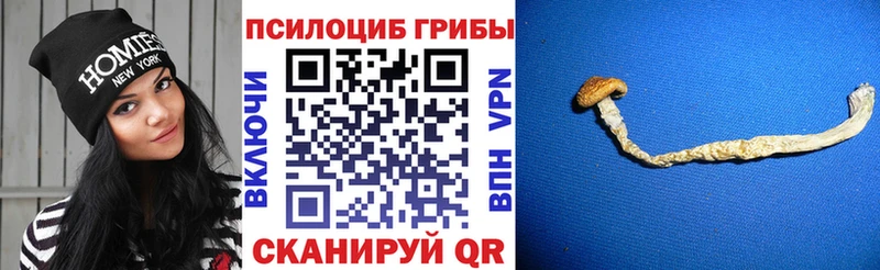 Псилоцибиновые грибы Magic Shrooms  Курчатов 