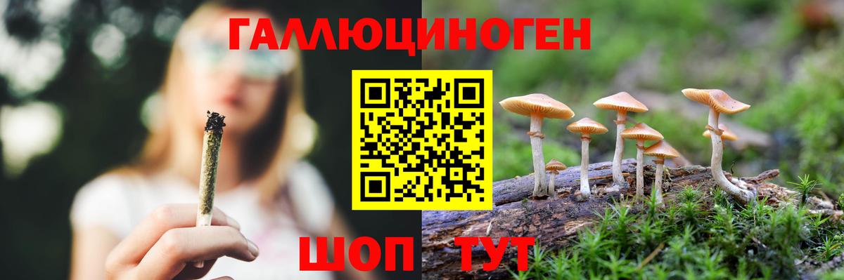 Псилоцибиновые грибы прущие грибы  Вход с VPN  Курчатов  Галлюциногенные грибы прущие грибы 
